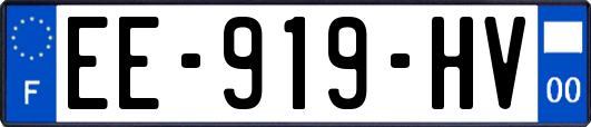 EE-919-HV