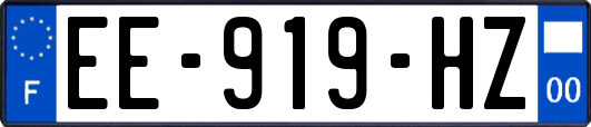 EE-919-HZ