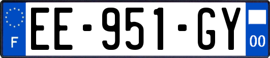 EE-951-GY