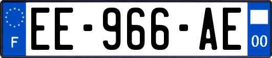 EE-966-AE