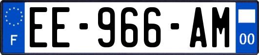 EE-966-AM