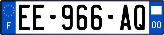 EE-966-AQ