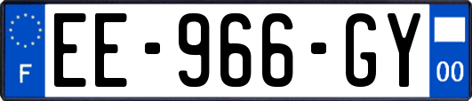 EE-966-GY