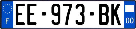 EE-973-BK