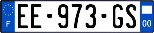 EE-973-GS