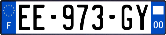 EE-973-GY