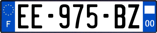 EE-975-BZ