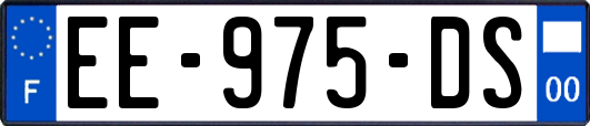 EE-975-DS