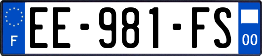 EE-981-FS