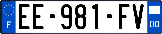 EE-981-FV