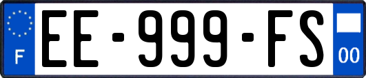 EE-999-FS