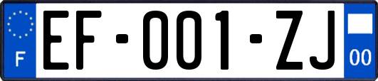 EF-001-ZJ