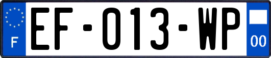 EF-013-WP