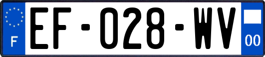 EF-028-WV