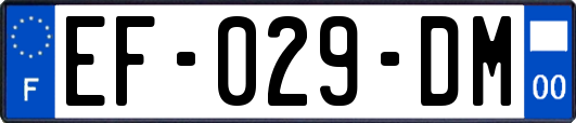 EF-029-DM