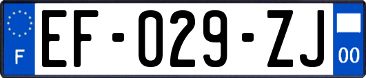 EF-029-ZJ