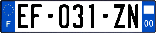 EF-031-ZN