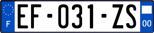 EF-031-ZS