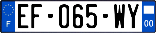 EF-065-WY