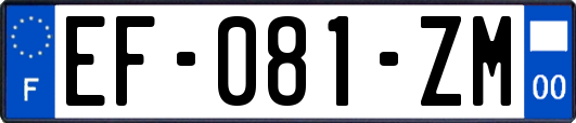 EF-081-ZM