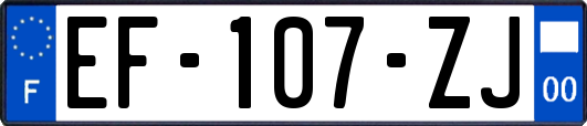 EF-107-ZJ