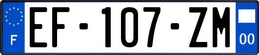 EF-107-ZM