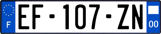 EF-107-ZN