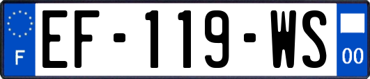 EF-119-WS