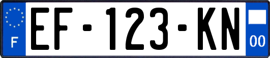 EF-123-KN