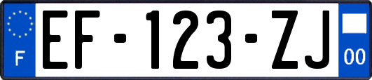 EF-123-ZJ