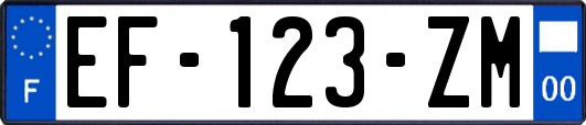 EF-123-ZM