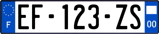 EF-123-ZS