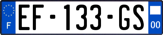 EF-133-GS