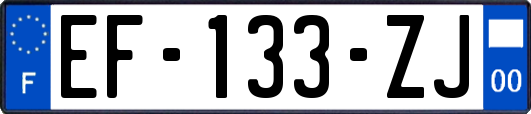 EF-133-ZJ