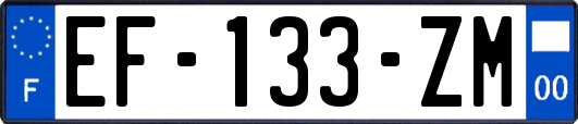 EF-133-ZM