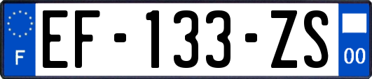 EF-133-ZS