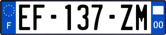 EF-137-ZM