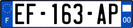 EF-163-AP