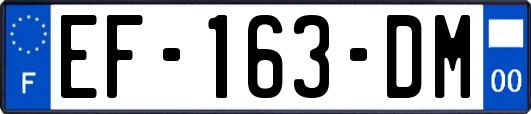 EF-163-DM