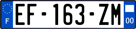 EF-163-ZM