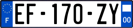 EF-170-ZY