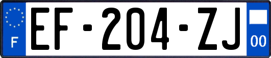 EF-204-ZJ