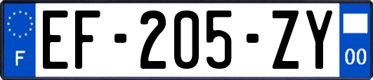 EF-205-ZY