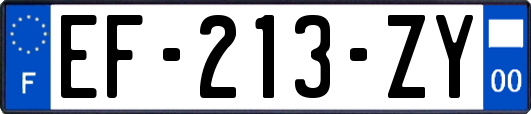 EF-213-ZY