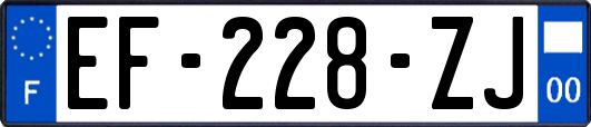 EF-228-ZJ