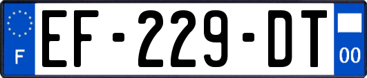 EF-229-DT