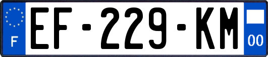 EF-229-KM
