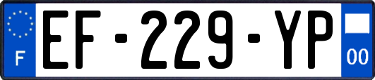 EF-229-YP