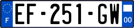 EF-251-GW