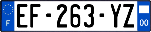 EF-263-YZ